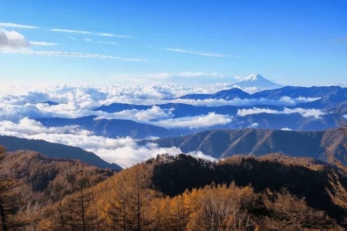 【百名山】冬の雲取山へ行きませんか？参考画像:1