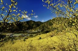 2/5土に高松山へ登りませんか？