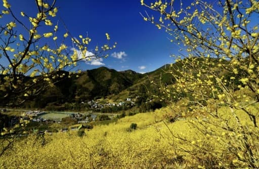 2/5土に高松山へ登りませんか？