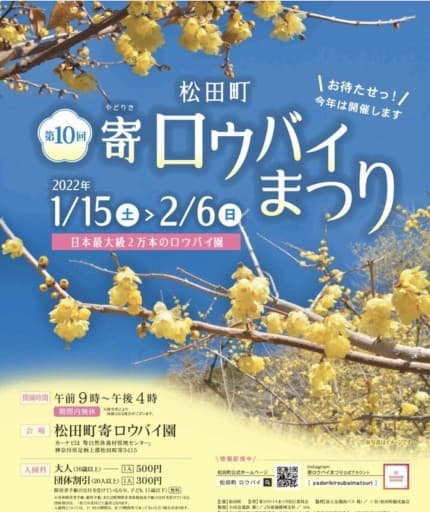 2/5土に高松山へ登りませんか？参考画像:1