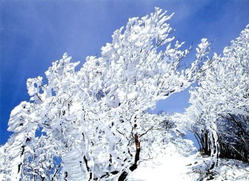 【奈良県】2/23(水・祝日) 高見山参考画像:1