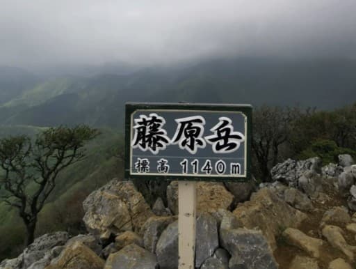 藤原岳🍀✨3月末から4月中旬