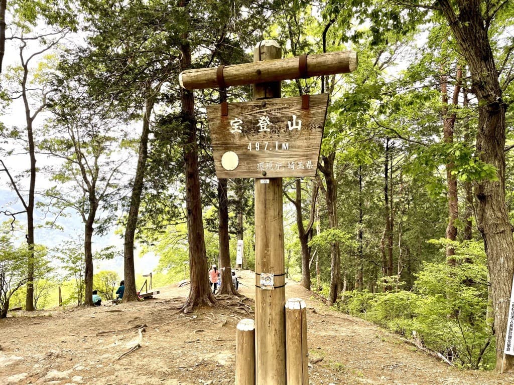 3/13(日)長瀞アルプス宝登山【埼玉県】参考画像:0