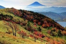 急募！！　大菩薩嶺岳へlet's GO🚘🗻参考画像:0