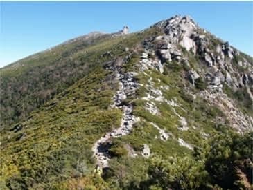 引くぐらい急募、金峰山！