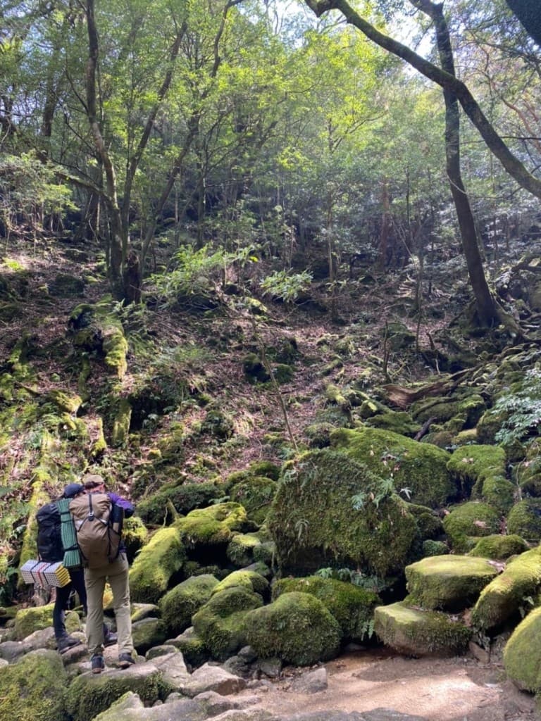 【群馬・埼玉の20代の登山友達募集】参考画像:0