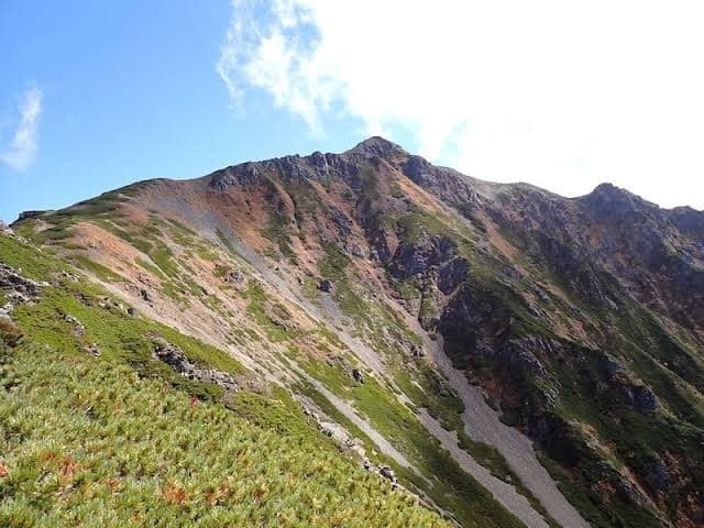 仙丈ヶ岳 地蔵尾根日帰り参考画像:0
