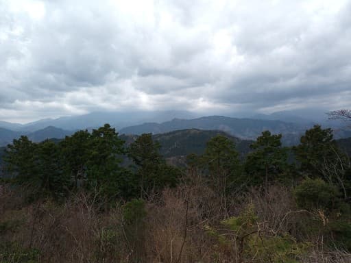 高尾縦走