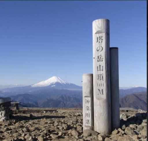 4月10日の日曜日に塔ノ岳