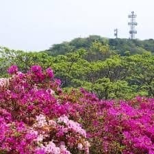 5月1日（日）三浦富士～砲台山～武山
