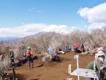 5/7(土)愛鷹連峰(越前岳〜黒岳)