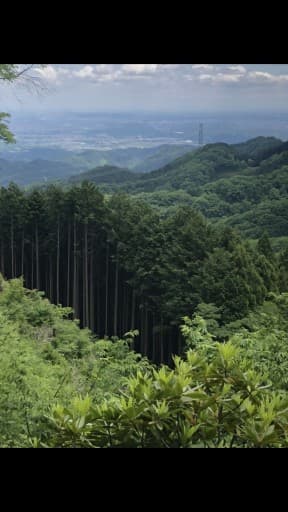 ６月5日東京近郊の低山ご一緒しませんか。