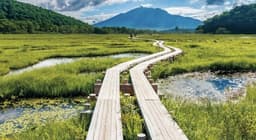 尾瀬　💯百名山至仏山登山と尾瀬ヶ原ハイキング　1泊2日