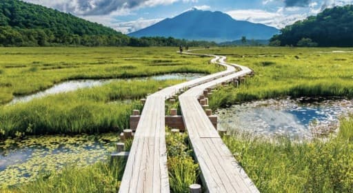 尾瀬　💯百名山至仏山登山と尾瀬ヶ原ハイキング　1泊2日