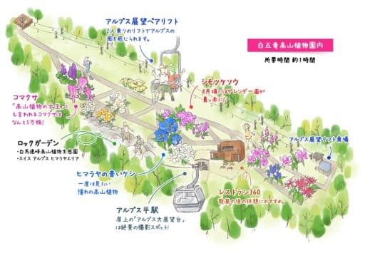 7/13(水)小遠見山(白馬五竜高山植物園)参考画像:1
