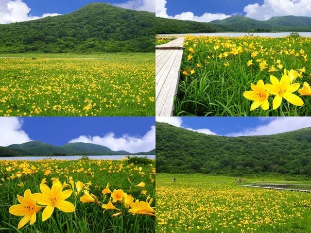 【募集終了】7/2(土) ニッコウキスゲの雄国沼ハイキング 同行者募集【南浦和発】参考画像:0