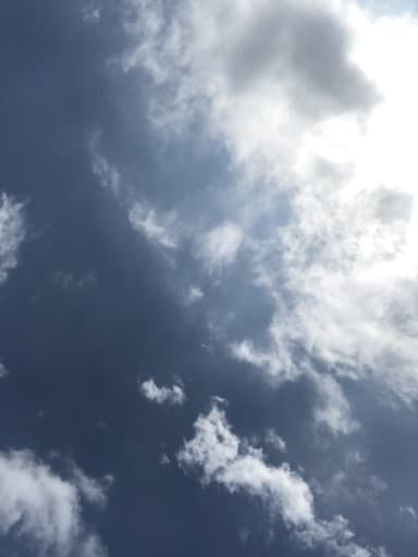 霊仙山に一緒に行ける方❗️参考画像:2