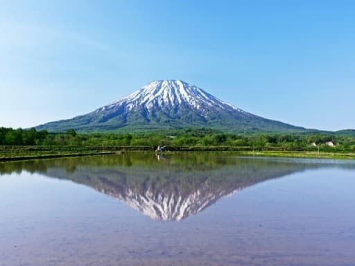 7月29日（金）羊蹄山（日本百名山）