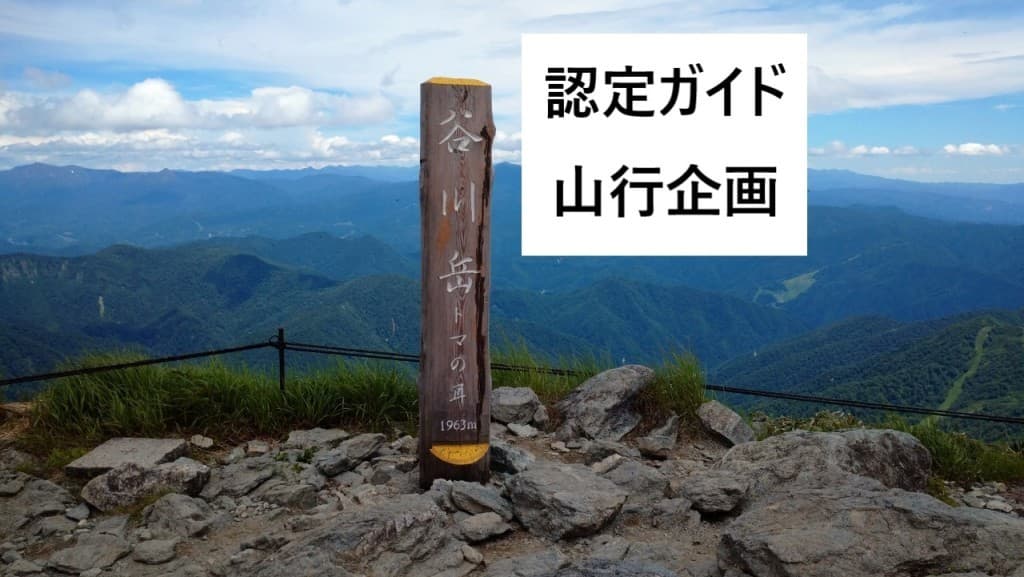 【ガイド企画山行】谷川岳日帰り8/21(日)※初級者向け（募集締切8/17）参考画像:0