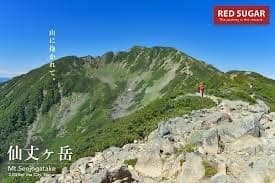 【急募:女性1名】7月30日（土）仙丈ヶ岳（前日出発）
