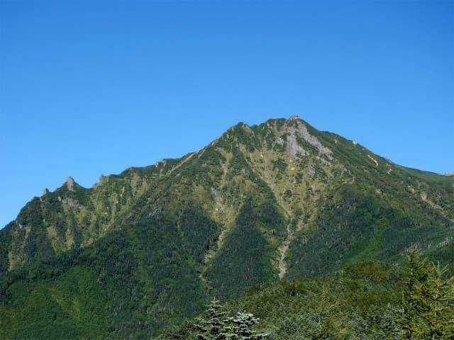 赤岳(真教寺尾根～県界尾根)日帰り参考画像:0