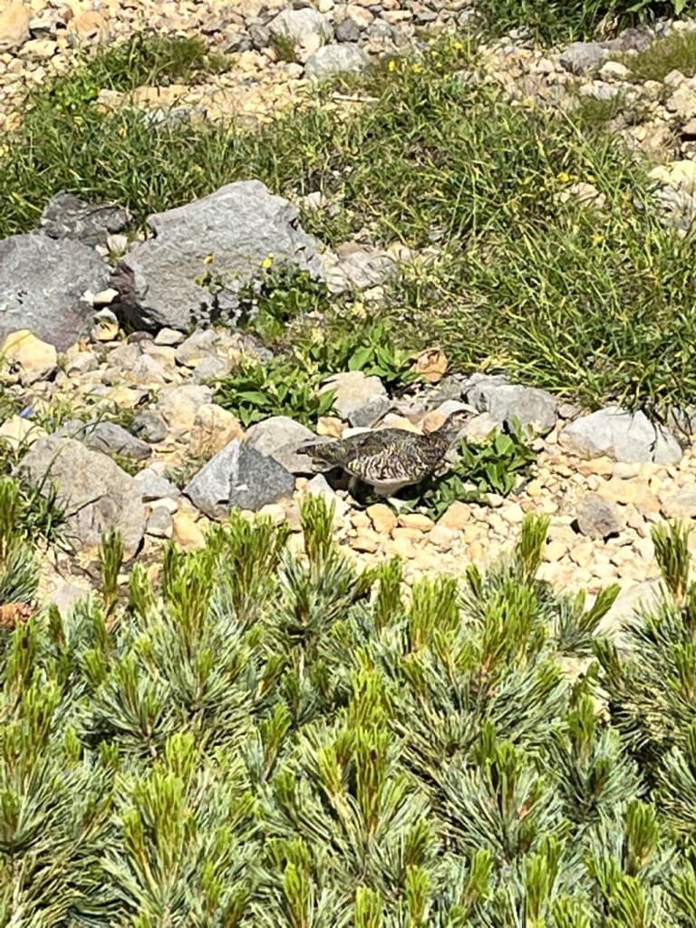 御嶽山　1泊2日山小屋泊参考画像:0