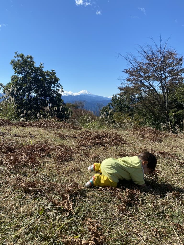 8月28日、29日富士登山　プリンスルート参考画像:0