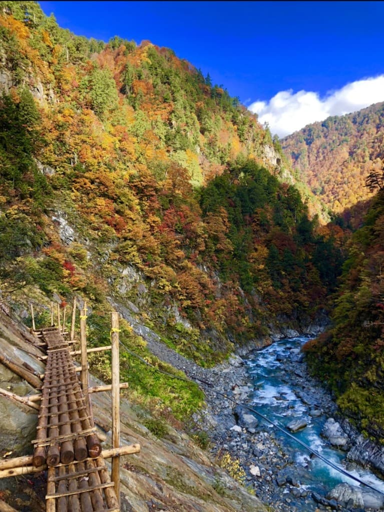 下の廊下　10/29,30 都内同乗可参考画像:0