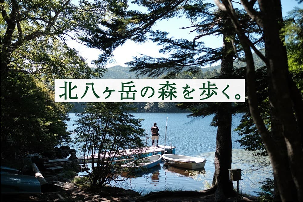 【写真を撮るのが好きな方歓迎】9/10(土) 北八ヶ岳（白駒池〜にゅう〜中山）ゆっくり森歩き参考画像:0