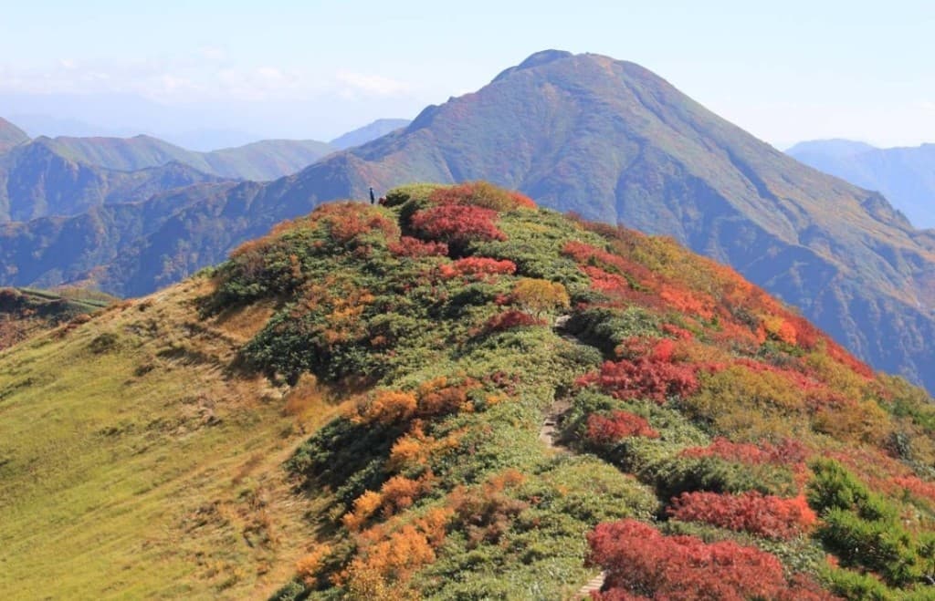 10月8日〜10日 紅葉の越後駒ヶ岳・平ヶ岳にご一緒しませんか。参考画像:0