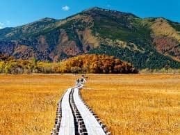 【1名募集】10月8日（土）至仏山（7日夜出発）参考画像:0