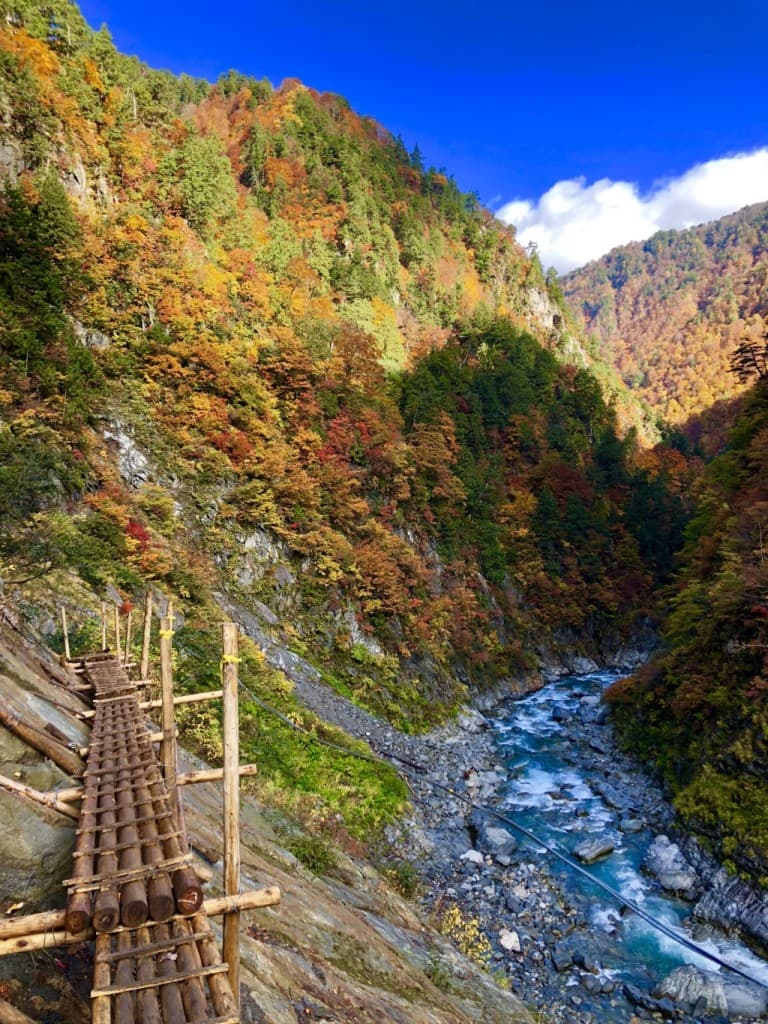 10/22〜23 下ノ廊下🍁参考画像:0