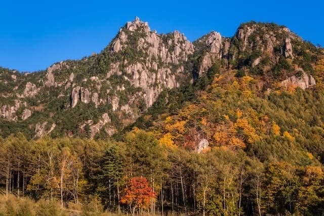 瑞牆山　日帰り(百名山・カンマンボロン経由)参考画像:0