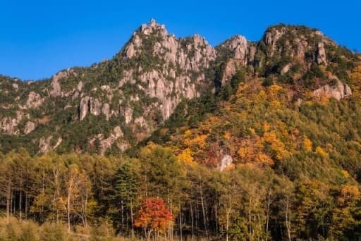 瑞牆山　日帰り(百名山・カンマンボロン経由)
