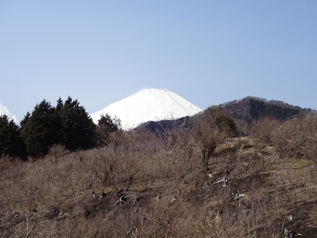 10/29(土)不老山(富士箱根トレイル)【神奈川県・静岡県】参考画像:0