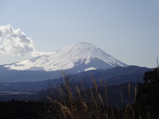 10/29(土)不老山(富士箱根トレイル)【神奈川県・静岡県】参考画像:1