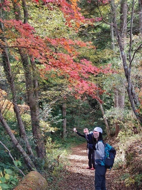 体験山行募集！！～伊豆ヶ岳(11/26)参考画像:0