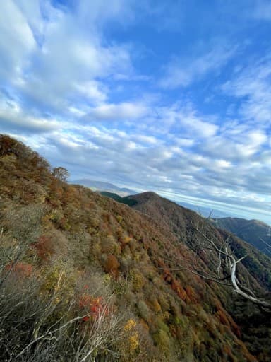 自然を感じながらの山登り参考画像:1