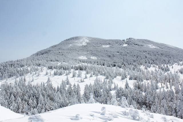 北横岳(日帰り・初級雪山というかお試し雪山企画)参考画像:0