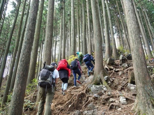 体験山行募集！！～伊豆ヶ岳(12/17)