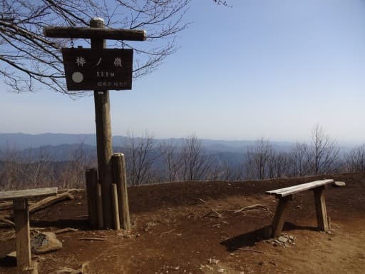 12/3(土)棒ノ嶺(棒ノ折山)～岩茸石山【埼玉県・東京都】参考画像:0