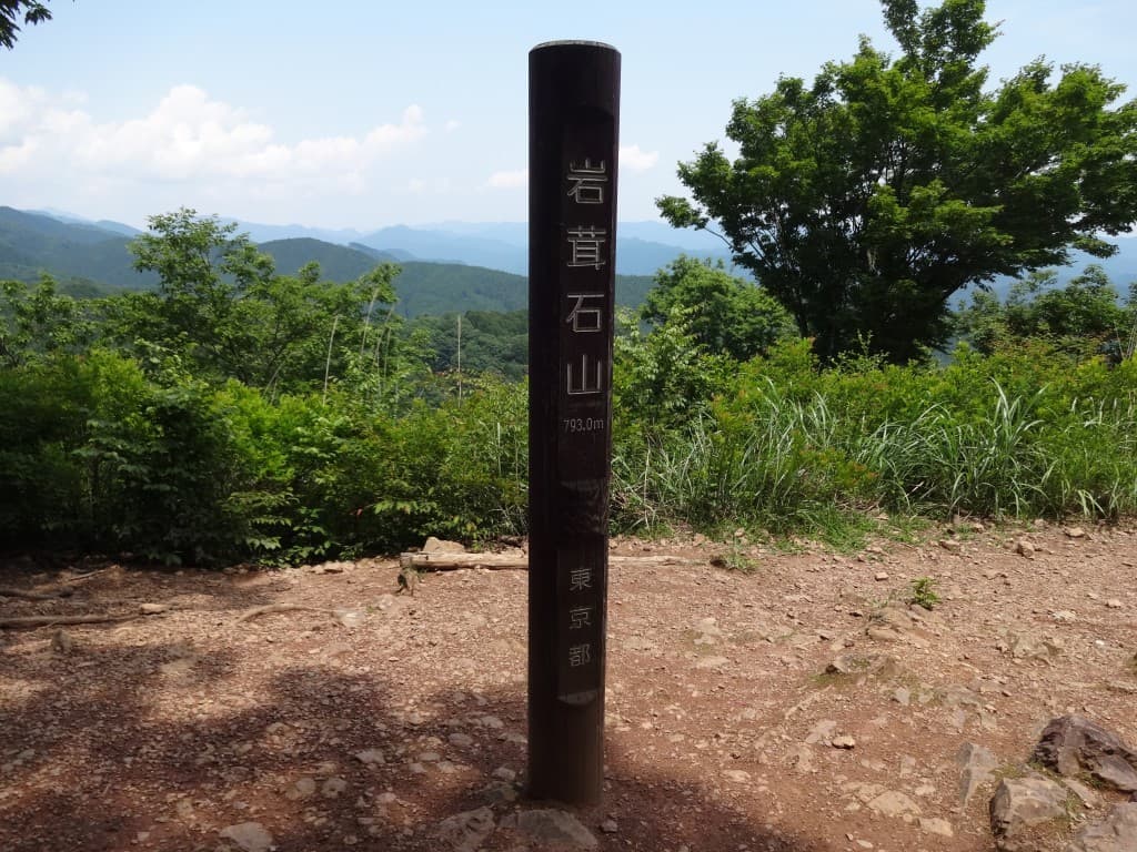 12/3(土)棒ノ嶺(棒ノ折山)～岩茸石山【埼玉県・東京都】参考画像:1