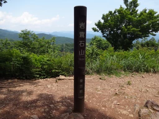12/3(土)棒ノ嶺(棒ノ折山)～岩茸石山【埼玉県・東京都】参考画像:1