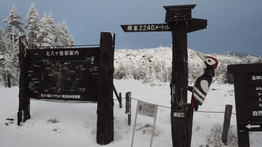 【ガイド企画第8回】北横岳（2/12）雪山登山はじめの一歩