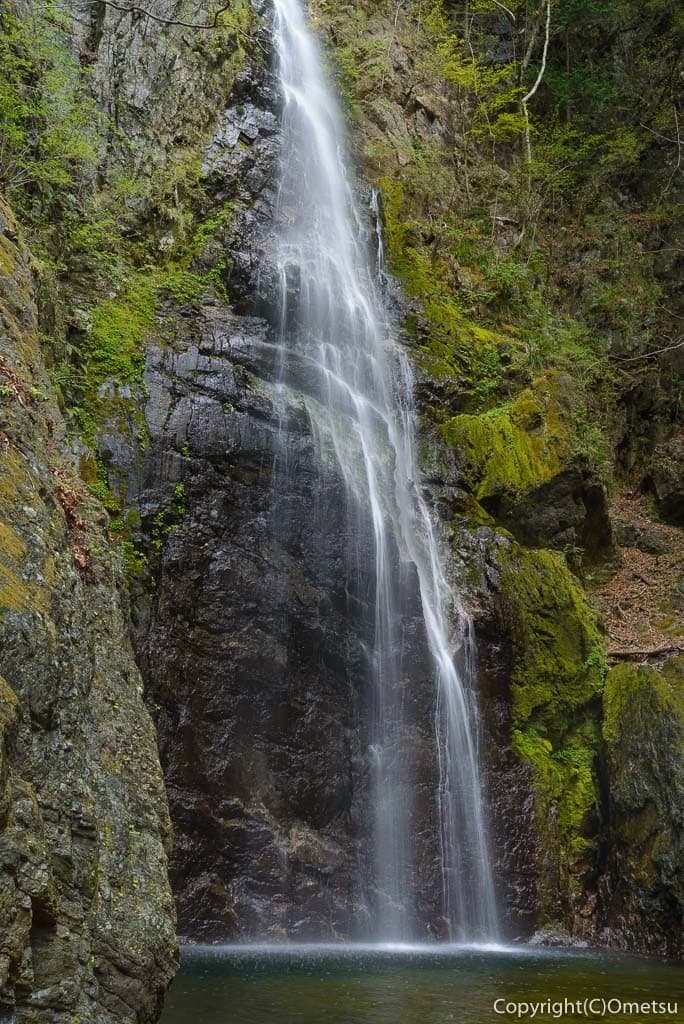 ※応募締切※奥多摩_川苔山に登ろう♪ 〈25-39歳限定〉参考画像:0