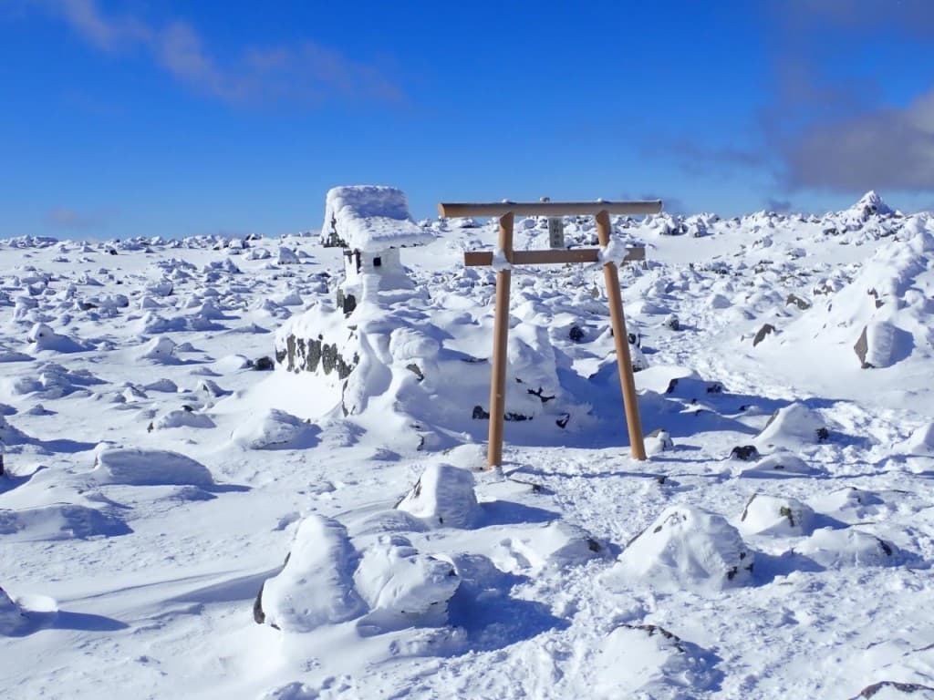 12/30 蓼科山(雪山初心者でも可)参考画像:0