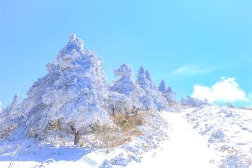 【超急募】【本日の終電発】南アルプスの南沢山