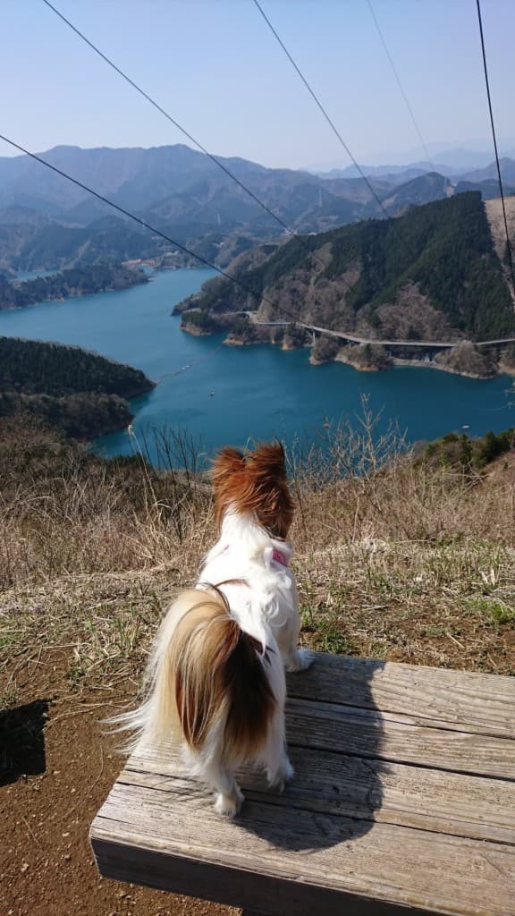 宮ヶ瀬湖周辺、仏果山に登りましょうよ!参考画像:0