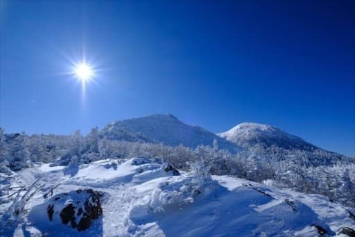 1/22(日) 天狗岳