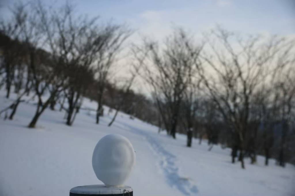 【平日限定山行】関東甲信越初級　雪山第１回　変更【入笠山】２０２３年２月２日参考画像:0